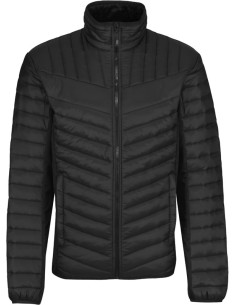 Regatta | TRA529