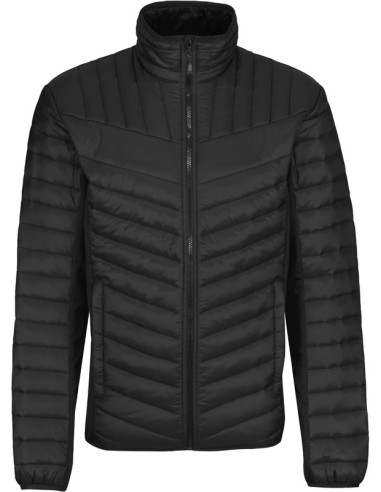Regatta | TRA529