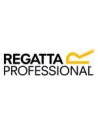 Regatta